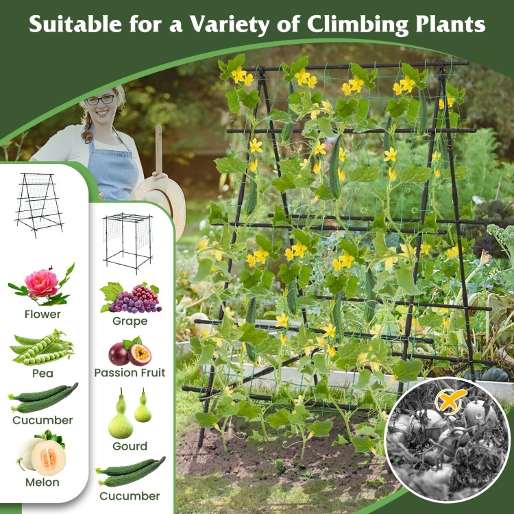 Step-by-step Guide to Using a Garden Cucumber Trellis